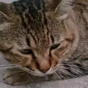 みなの画像