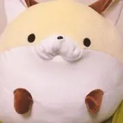 こん