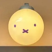 じゃがの画像