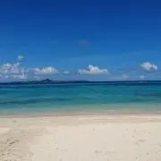 SEAの画像