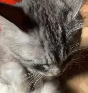 H&Nの画像