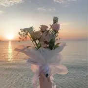 HARUの画像