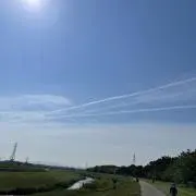 ごうちゃんの画像