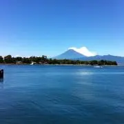 MTMTの画像
