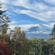 みーちゃんの画像