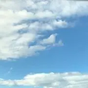 もちの画像