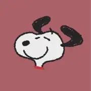 Rの画像