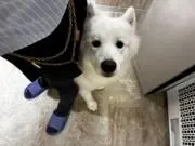 なすやニキ