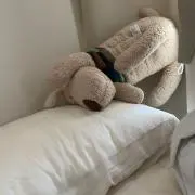 ぬん。の画像