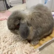 ひさの画像