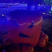 takの画像
