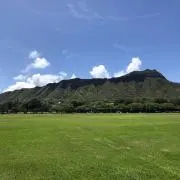 mochaの画像
