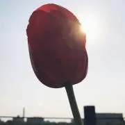 がつ