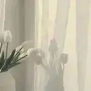 はるの画像