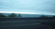 みの画像