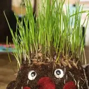 そのにえの画像
