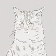 みちこの画像