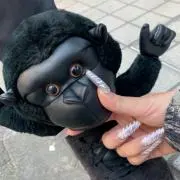 ミルフィーユ