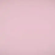 nasuの画像