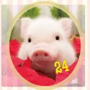 びぃぁん24