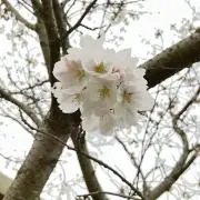 y_04の画像