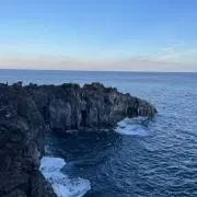 やっすんの画像