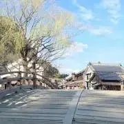 ともの画像