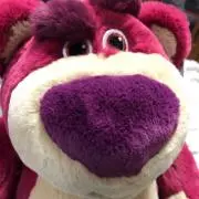 まつのぼの画像