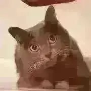 シオ