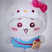 こいちゃんの画像