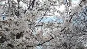 ねむ
