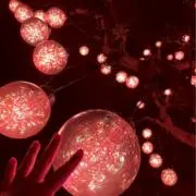 めろ★の画像
