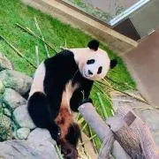 ナギサの画像