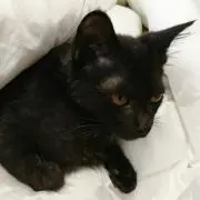 ひろぴー☆の画像