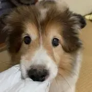 たけまこの画像