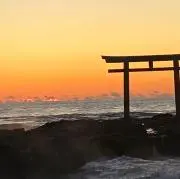 森の里