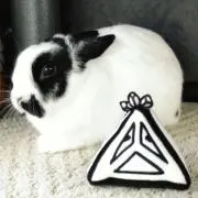 kazzzの画像