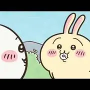 うさぎの画像