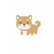 ポコの画像