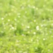 Mの画像