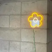 KTの画像
