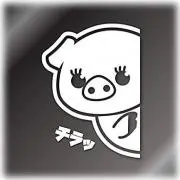 ブー子の画像