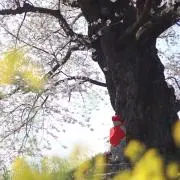 永井の画像