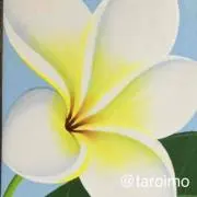 たろいも♡
