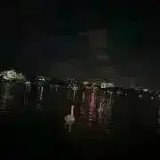 あの画像