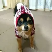 mitsu   ☆プロフ読んでください☆の画像