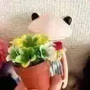 サイン⌘の画像