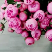 Minako【必ずルールを読んで下さい】の画像