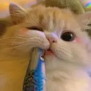 かおりo(^-^)oの画像