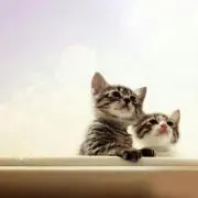 ゆいちな